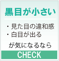 黒目が小さい人